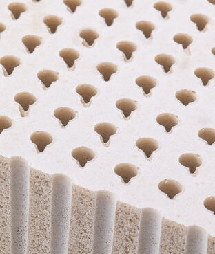 Irvine Latex Adjustable  Bed Replacement Mattress